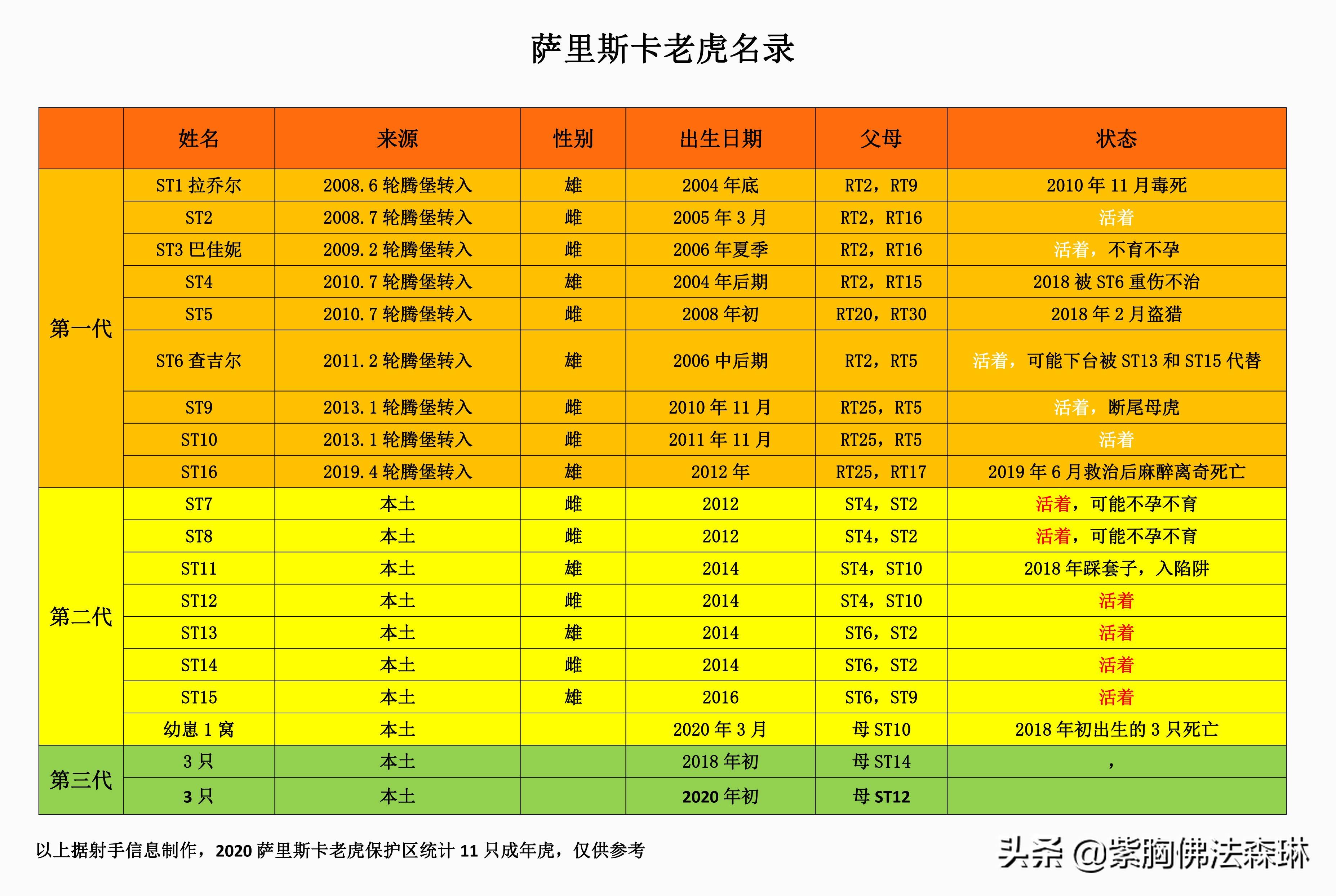 重新引入老虎2年,花豹数量从17只降至8,浅谈老虎对花豹压制_萨里斯卡