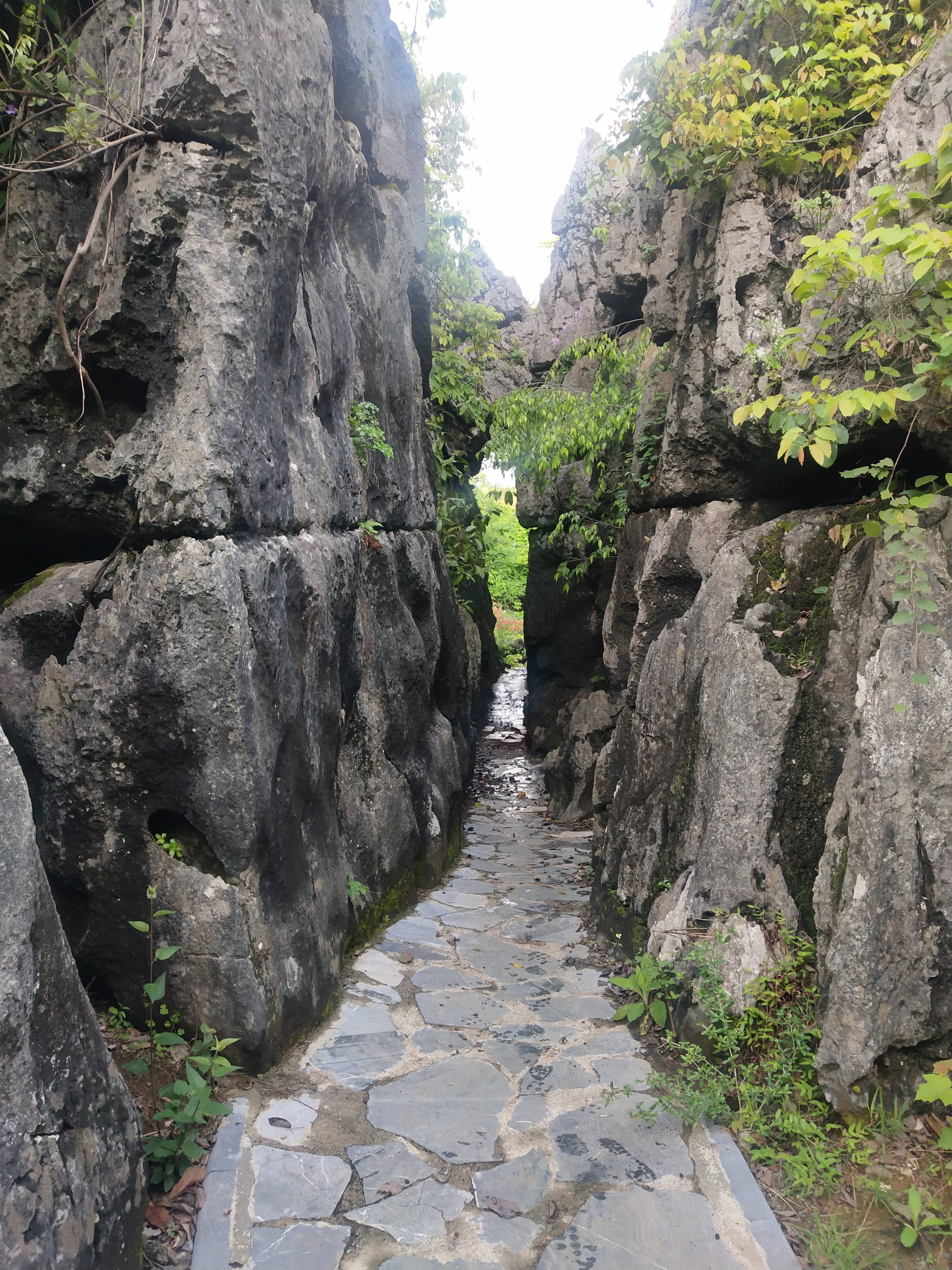 文市石林,桂林的一个美丽景区,最近终于去了一趟_朋友_灌阳县_开发