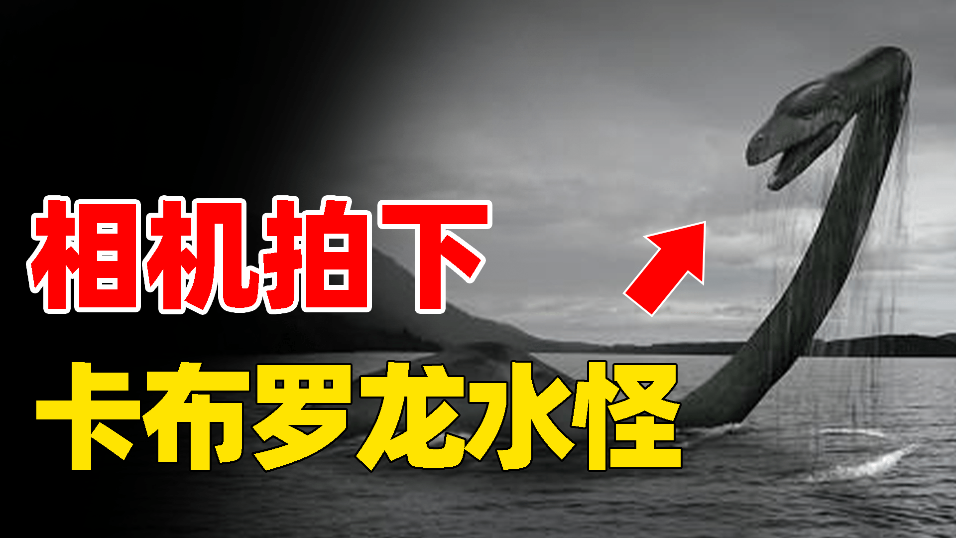 它的名字叫卡布罗龙,接下来咱们就一起来看看,真实的卡布罗龙到底长