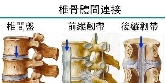 腰痛的一万个理由,但是棘上,棘间韧带损伤绝对不可以忽略_严重_症状