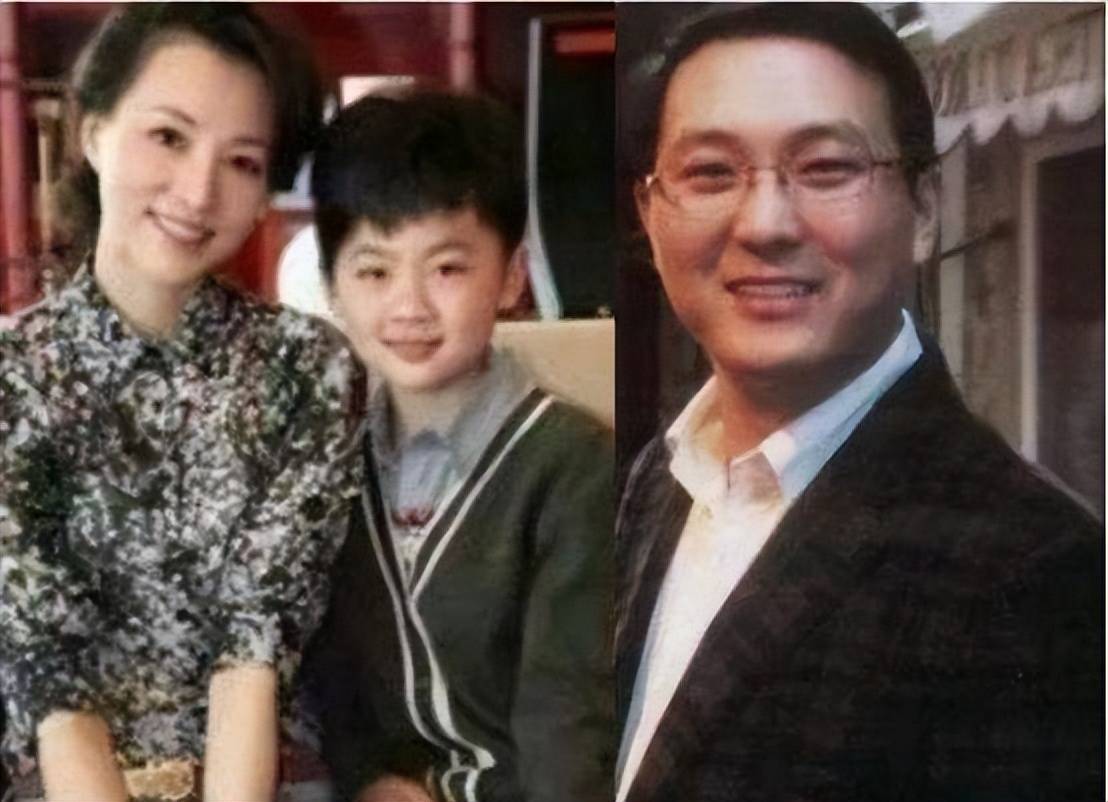 原创董卿老公密春雷及旗下公司被强制执行7亿多夫妻二人去向仍成谜