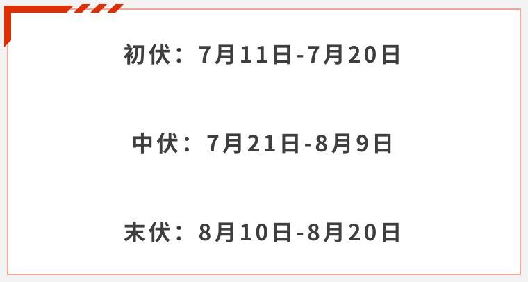 今日入伏冬病夏治就这一次错过再等一年视频版三伏贴使用攻略