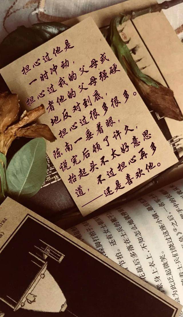 原创柔软关系午后日光透过窗落到他们肩上