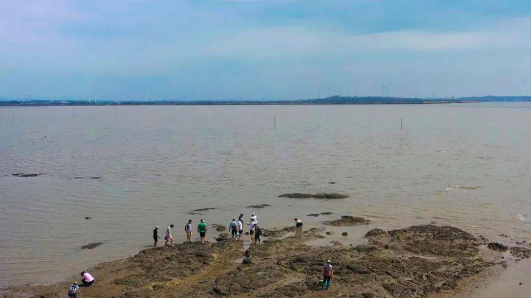 快来这,一起踏浪赶海吃海鲜~_泽库镇_活动_旅游