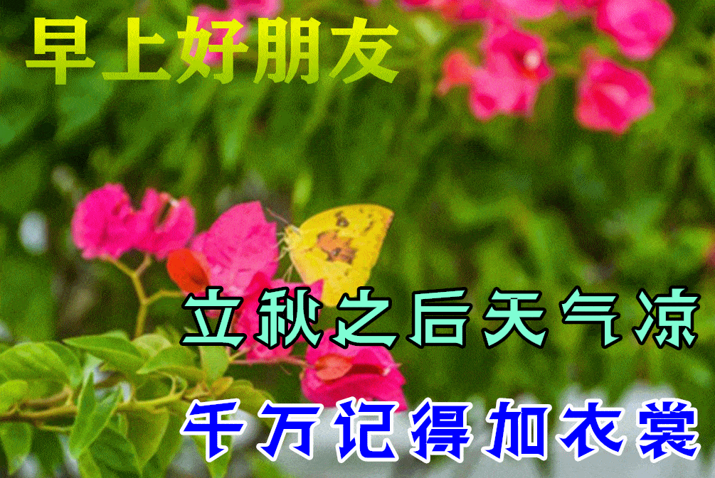 立秋早上好问候祝福语图片鲜花带字 立秋早安问候祝福鲜花图片带字