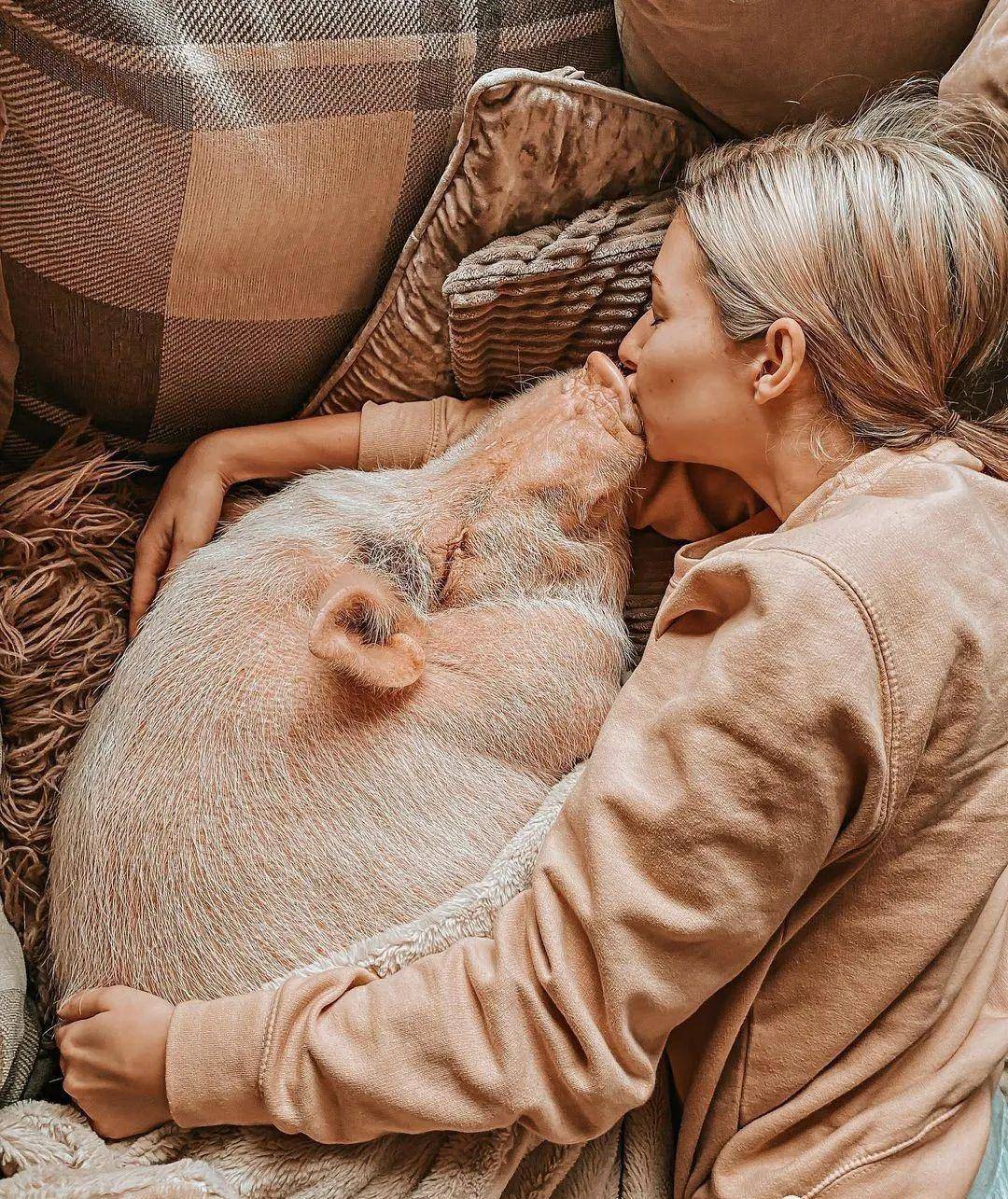 甚至亲亲。 抱抱, 但一人一猪还是跟以前一样要好, 现在比妹子还大条很多了。