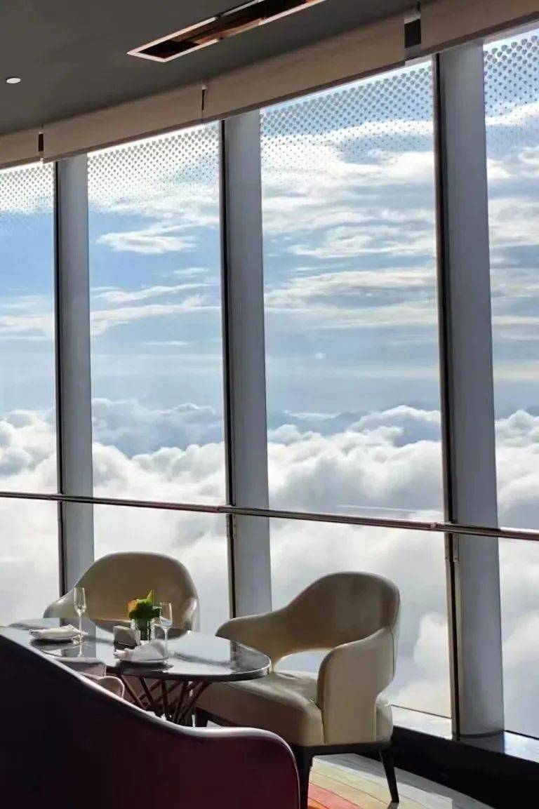 ��ħ��Ħ������� 2022 BEST 50���ذ�������