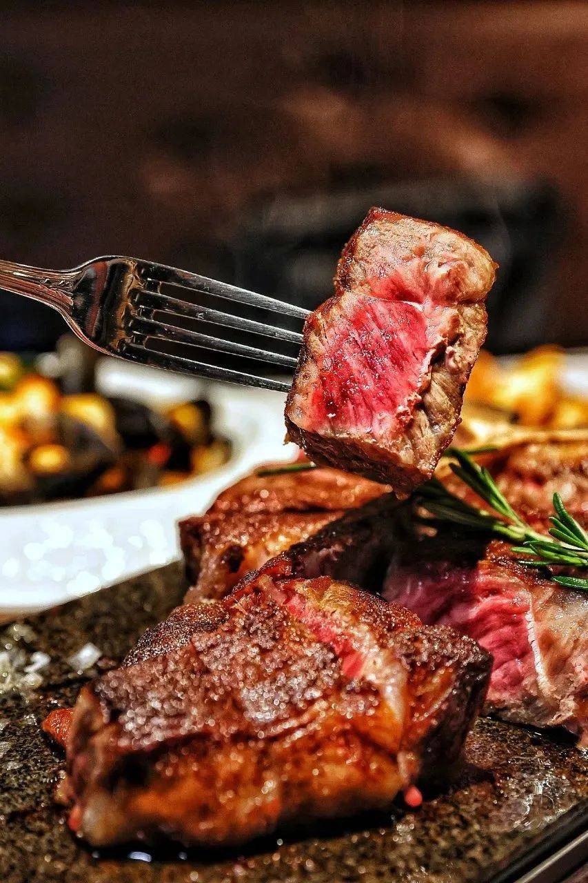 ��ħ��Ħ������� 2022 BEST 50���ذ�������