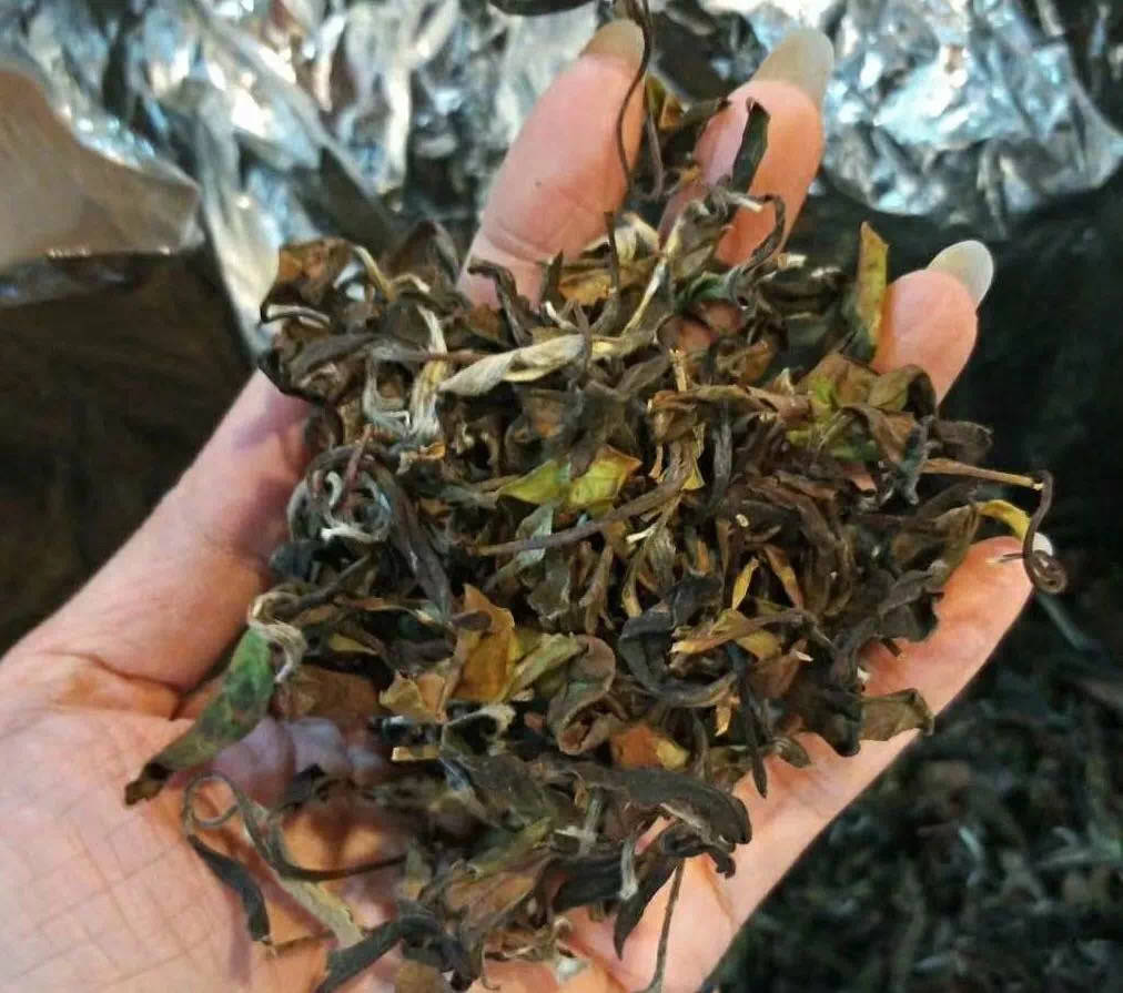 原创
            白茶饼怎么买才不踩雷?看过了数百款做旧茶,发现它们有4大特征9 原创
            白茶饼怎么买才不踩雷?看过了数百款做旧茶,发现它们有4大特征9