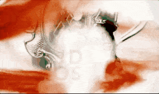 ����ح�ѵ��պ��¹���������������֮�衱