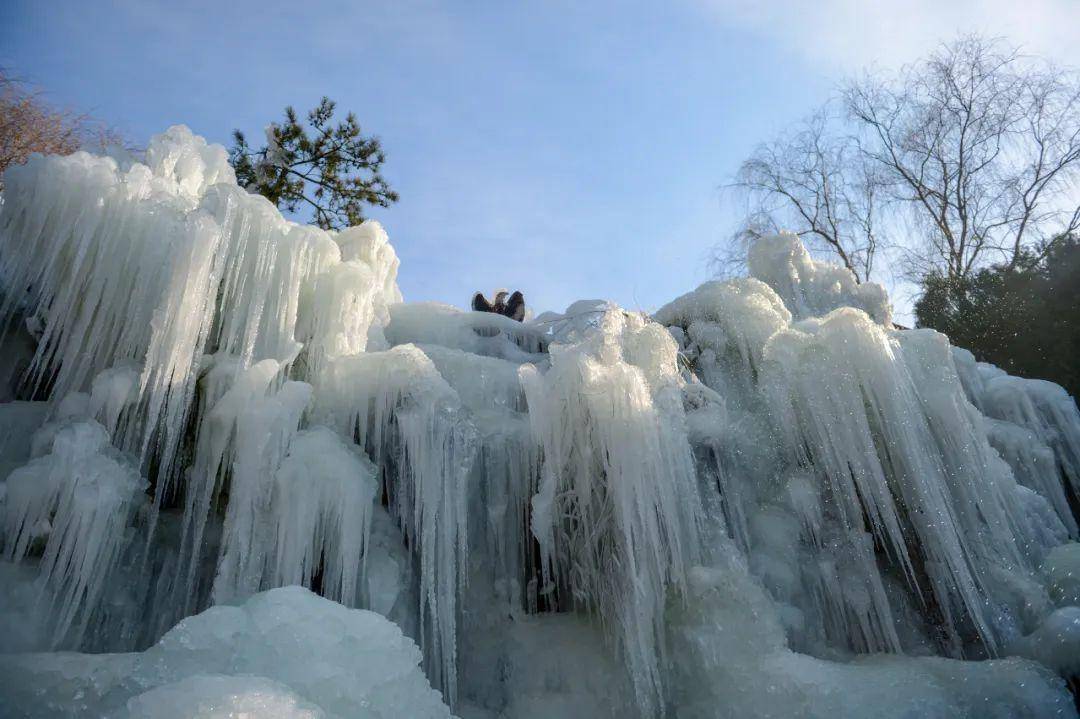 冰瀑美成了“冰水母”！济南的冰雪玩耍地大集合来啦~竟然有那么多？！