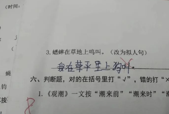 小学生写作业能有多离谱，家长气得直跺脚，老师看后哭笑不得  小升初作文 第1张