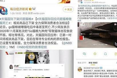 原创国产猫粮什么牌子好？性价比高的猫粮有哪些