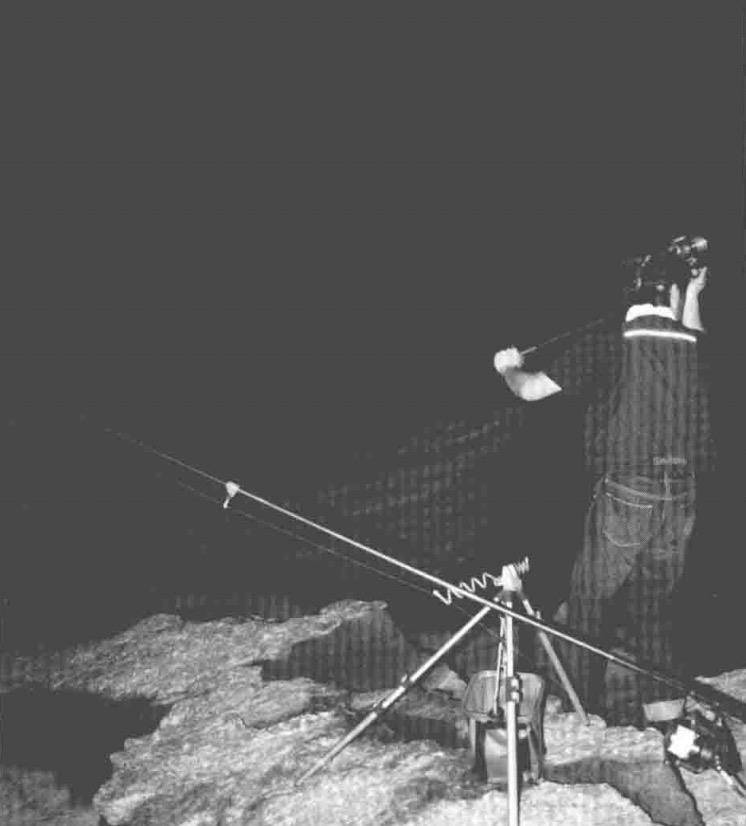鱼中之王真鲷黑鲷 钓法必须了解自由控制钓法及其钓组钓饵钓点钓时
