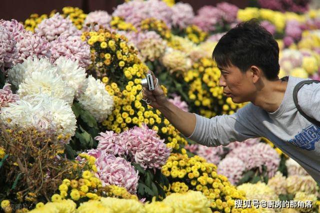 明天重阳节，服膺“3吃3做3隐讳”，老例子要懂，寓意步步高升