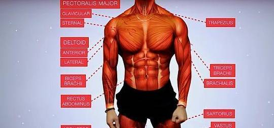 超级专业的健身方法能锻炼全身满芒果体育满的干货(图1)