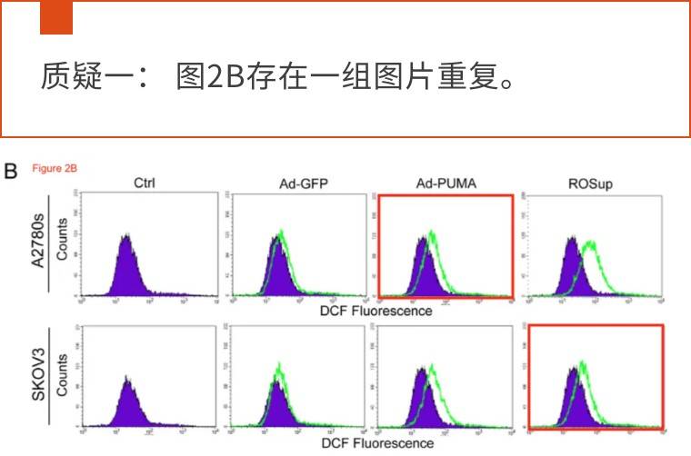 四川大学华西病院的两篇论文被量疑两年未更正，毕克博士犀利诘问