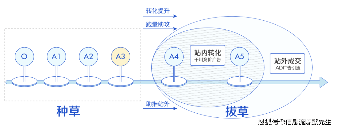 种雷火竞技官网草营销是什么 营销种草怎么操作(图5)