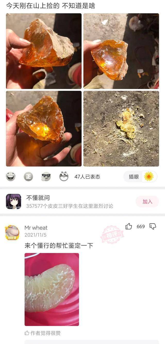 “在爷爷仓库发现的，那至少是个营长吧？”神友：妥妥的师长