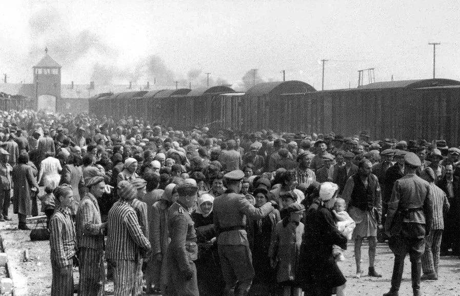 ��ɫ�����£�ս����ս��