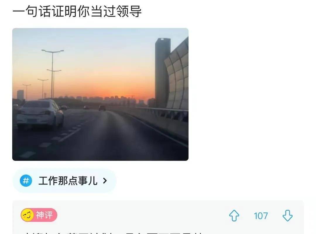 神评爆笑合集：为什么羊村其它羊都穿鞋，只要懒羊羊不穿？