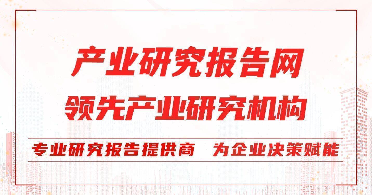 2023-2029年中国IT运维办事行业研究与投资前景评估陈述