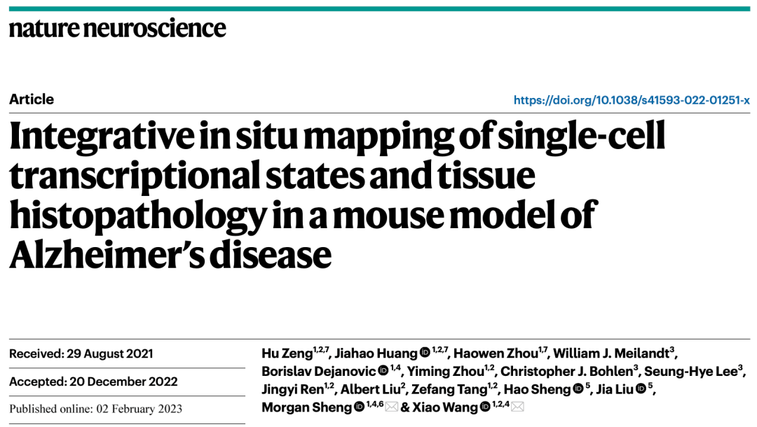 Nat Neurosci | 新型空间测序手艺切确测定阿尔兹海默症中脑细胞的变革