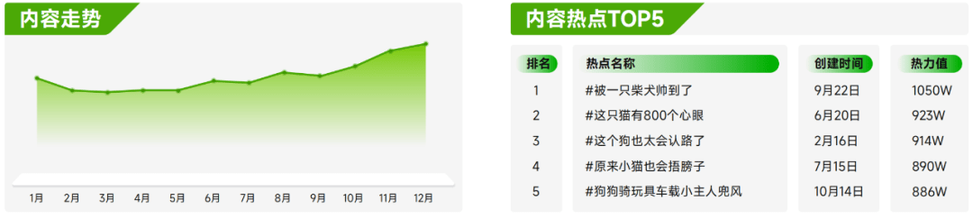 抖音官方揭秘宠物行业的生意经