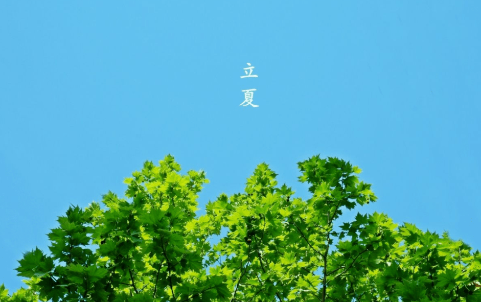 【原创诗词】侯庆红 | 抛开名利等闲看，腹有诗书第一流（七律十首）