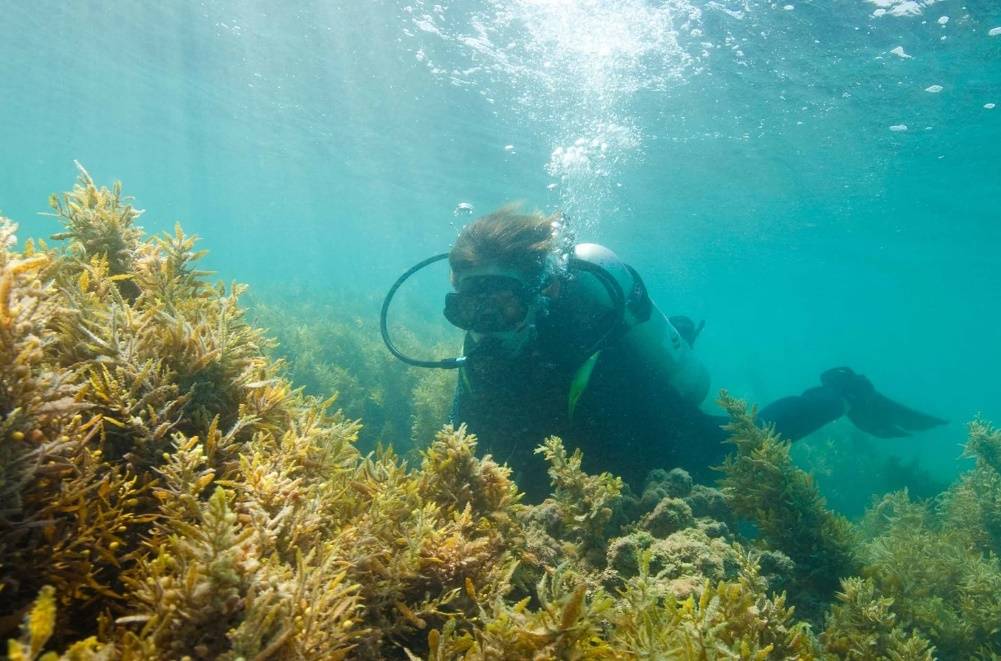 恋人节小寡出境目标地，解锁阿布扎比的奇特浪漫