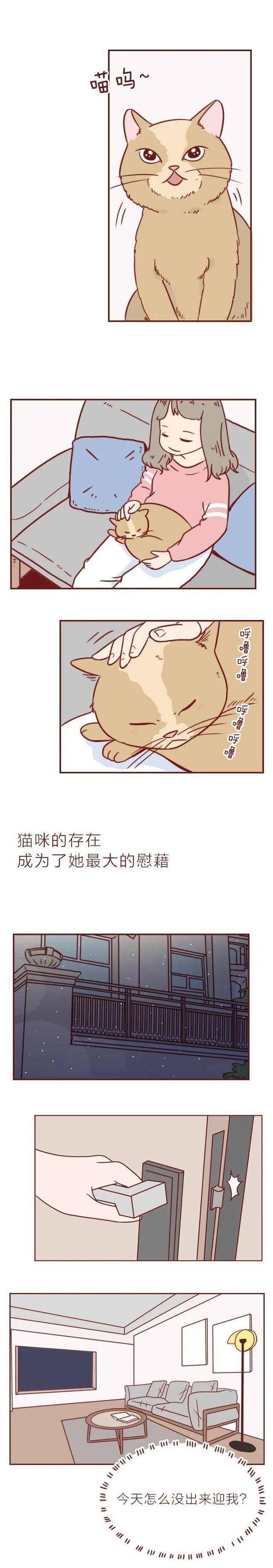 短篇漫画《宠物病院》，看完最初一个故事，你会觉得前两个很挖苦