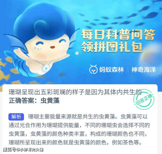 珊瑚呈现出五彩斑斓的样子是因为体内共生什么？蚂蚁丛林奇异海洋