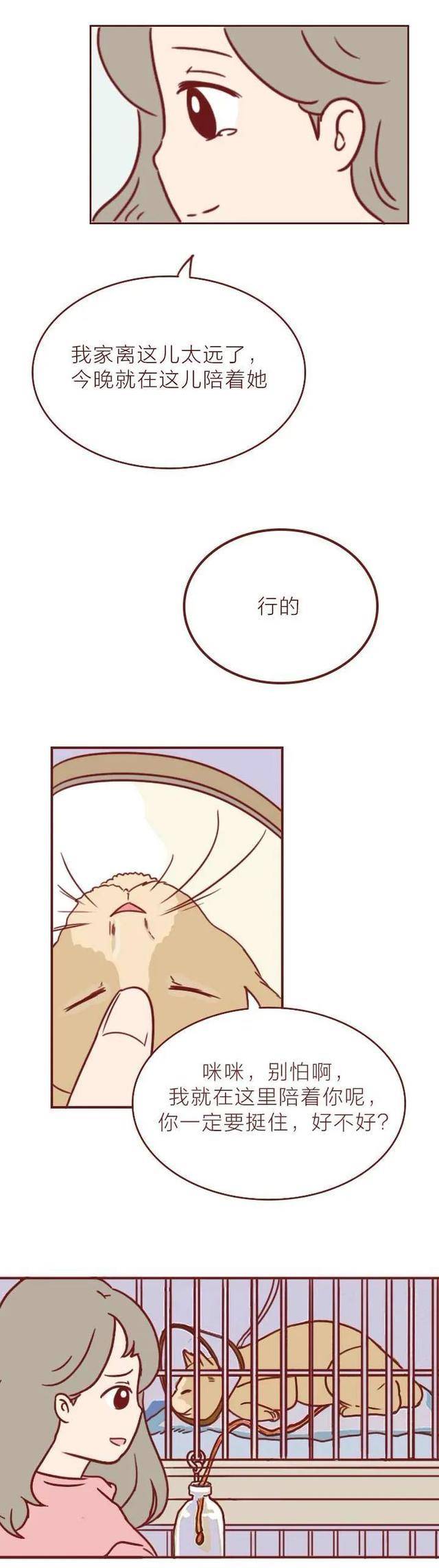 短篇漫画《宠物病院》，看完最初一个故事，你会觉得前两个很挖苦