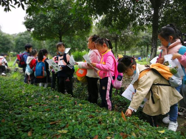 四川健博会探秘之：中医药安康旅游篇