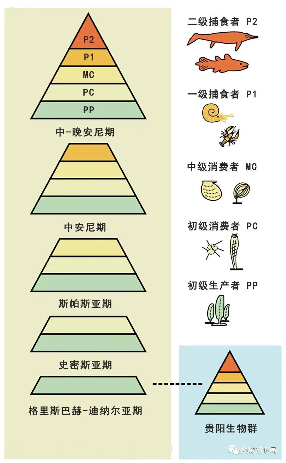 贵州，有一个严重发现！| 地球常识局