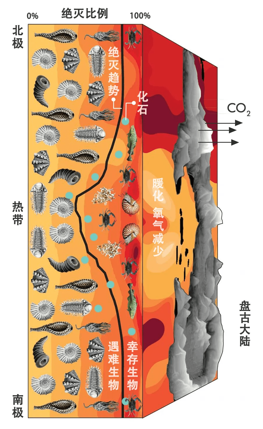 贵州，有一个严重发现！| 地球常识局