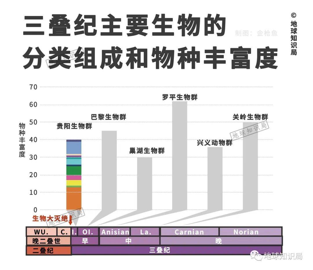 贵州，有一个严重发现！| 地球常识局