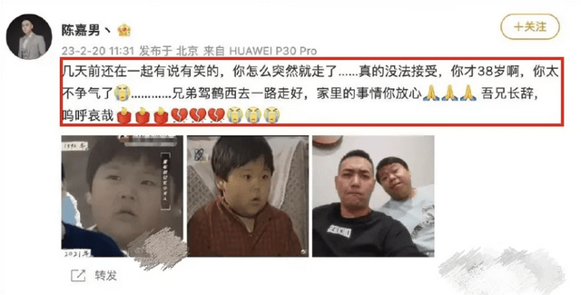 童星陈晨突然离世，老友曝其原生家庭不幸被骂，涉及隐私不再回应