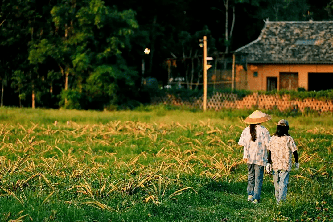 年轻人，起头看爱豆种地来下饭了？餐桌上的中国故事，期待你来挖掘！