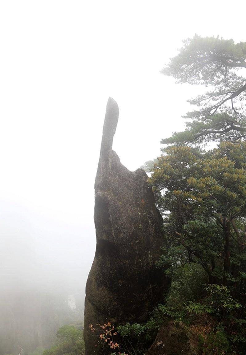 三清山：奇峰怪石、古树名花、流泉飞瀑、云海雾涛