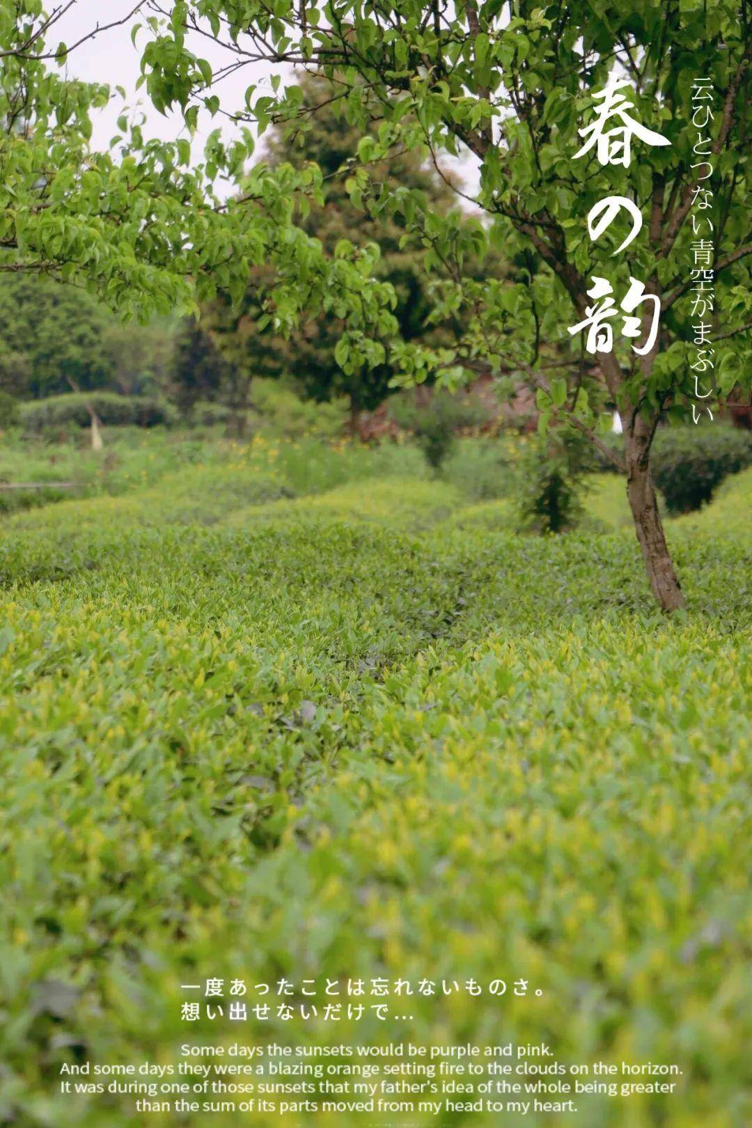 又一度假仙人地出炉！成都动身1.5h！泳池台球机麻烧烤，亲测好耍