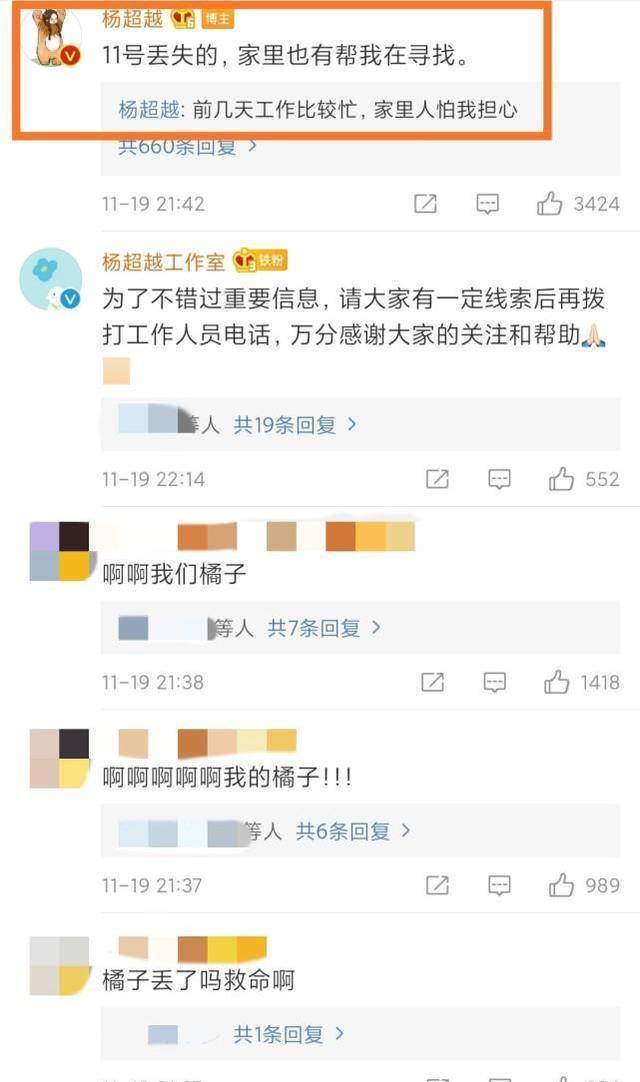 杨超越在线求帮忙：只求安然不要流离陌头，宠物猫已丧失一周