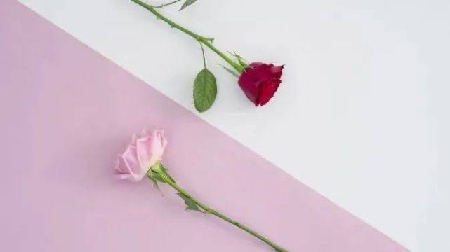 7604324aec2a43268ec7ab311c3bc527.jpeg
