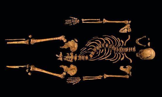 �����������ʬ��Ϊ�λ���ʬ��Ұ������������Ԥı�������� ...