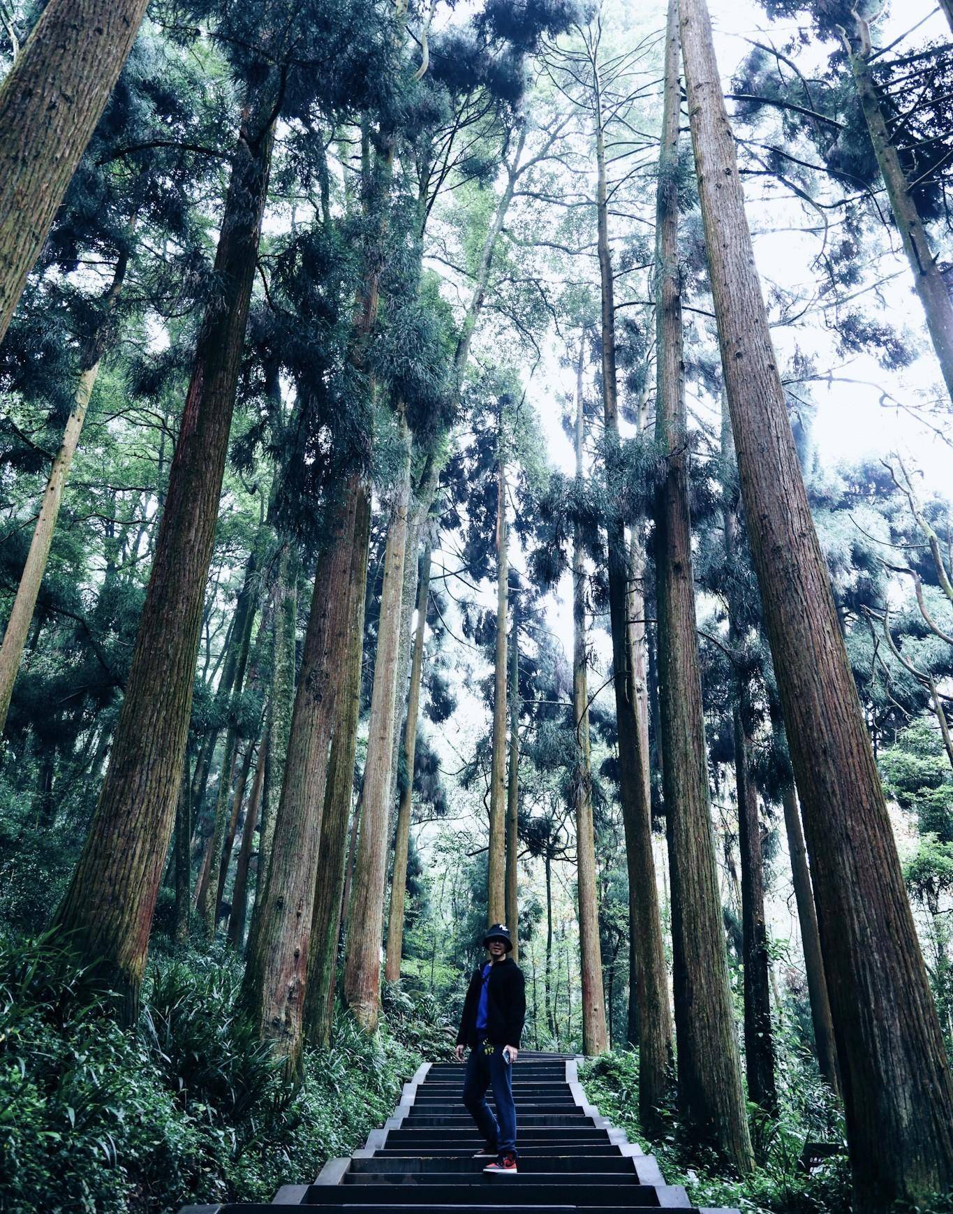 成都青城全国幽，游前山仍是后山，到底怎么选？