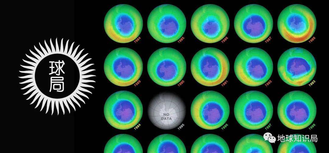 ��ת�ˣ������շ����ڱ�С��| ����ѧ�ʾ�