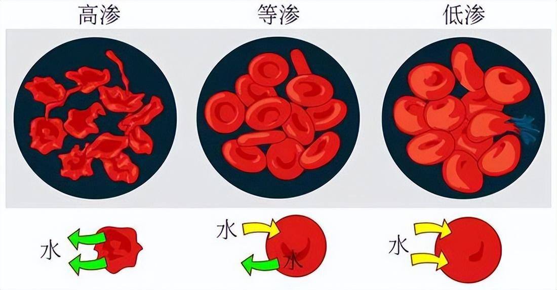 用盐水漱口，能预防甲流，治疗牙齿发炎、口腔溃疡吗？告诉你本相