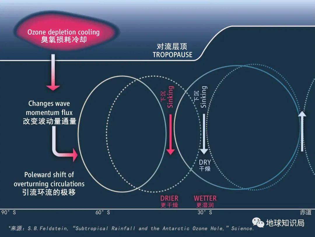 ��ת�ˣ������շ����ڱ�С��| ����ѧ�ʾ�