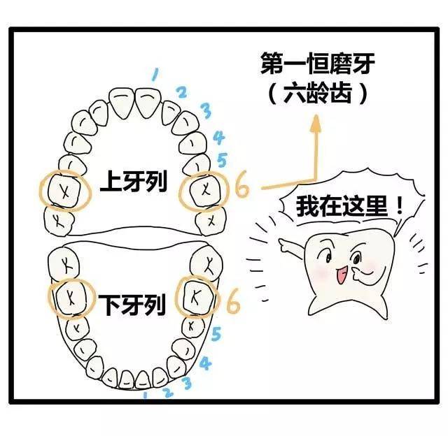 儿童口腔护理19大危害误区！宝妈宝爸必保藏！