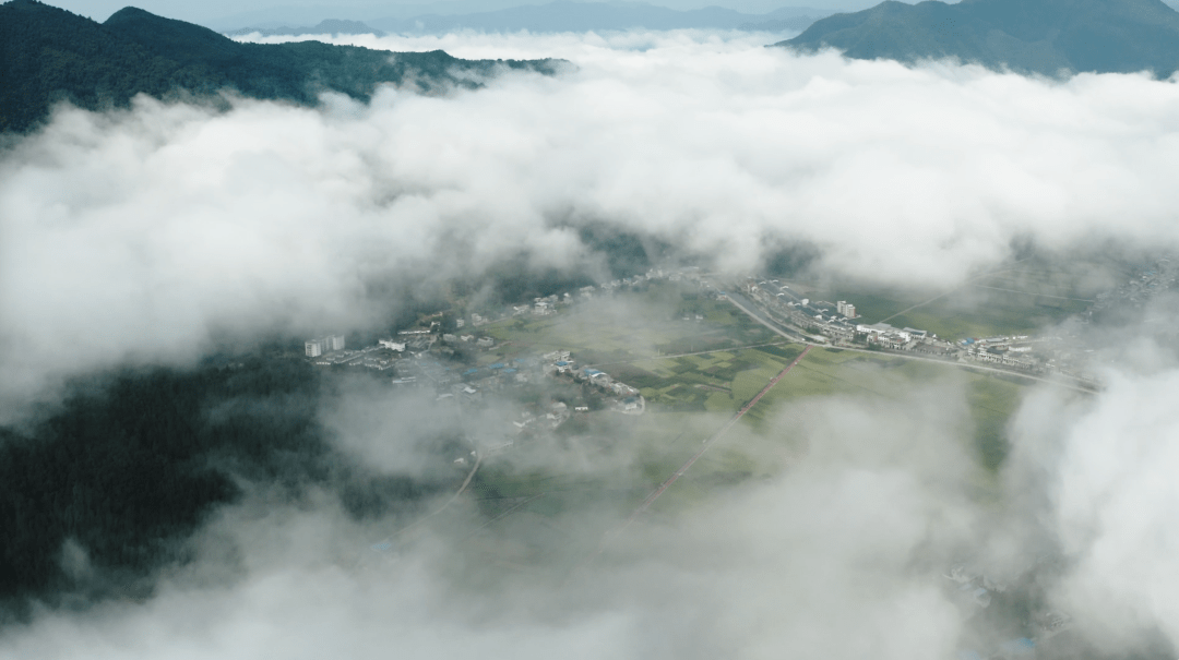 春入巴山丨那条绝美景不雅大道带你畅游金色油菜花海……